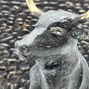 El toro